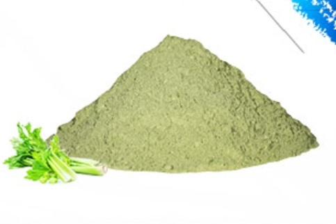 عصاره کرفس خشک پودر مرغوب گیاه کالا