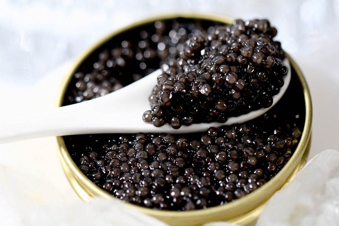 خاویار طلای سیاه + قیمت به صرفه