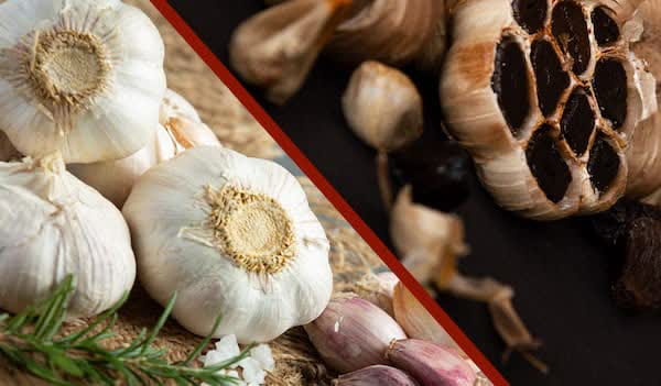 قیمت خرید سیر سیاه تخمیری صد در صد تازه + فروش صادراتی