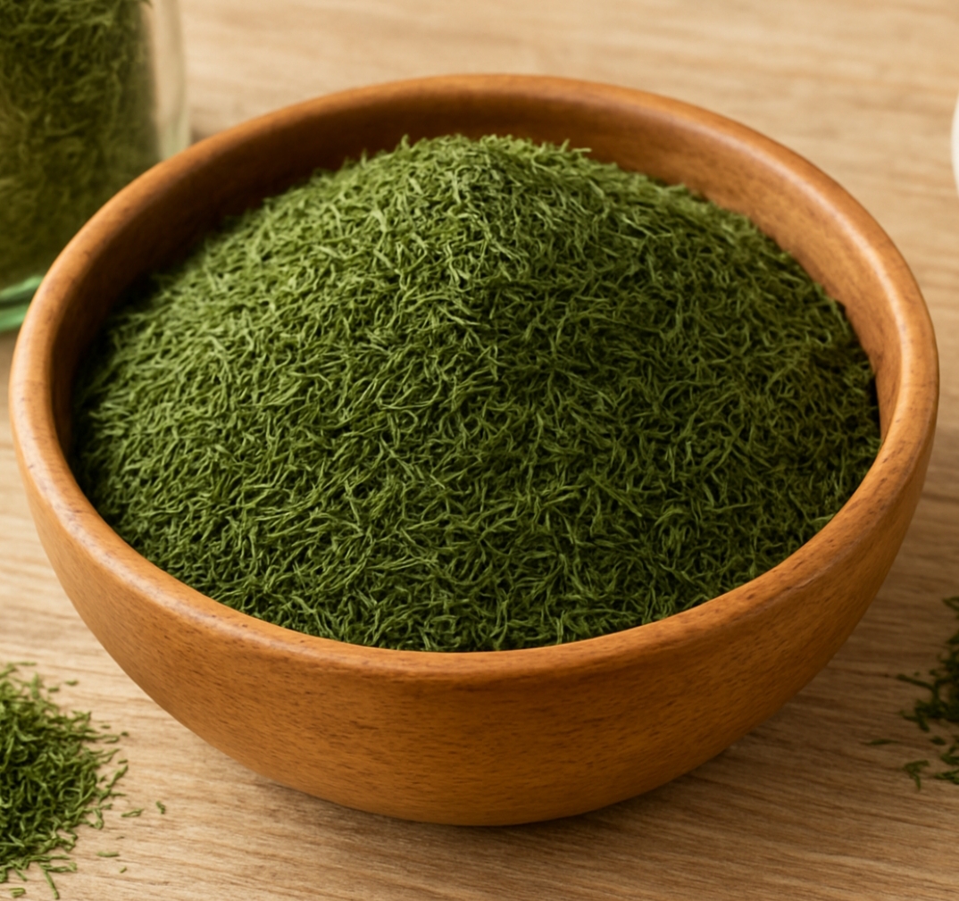 خرید و قیمت شوید خشک گیاهینه + فروش عمده
