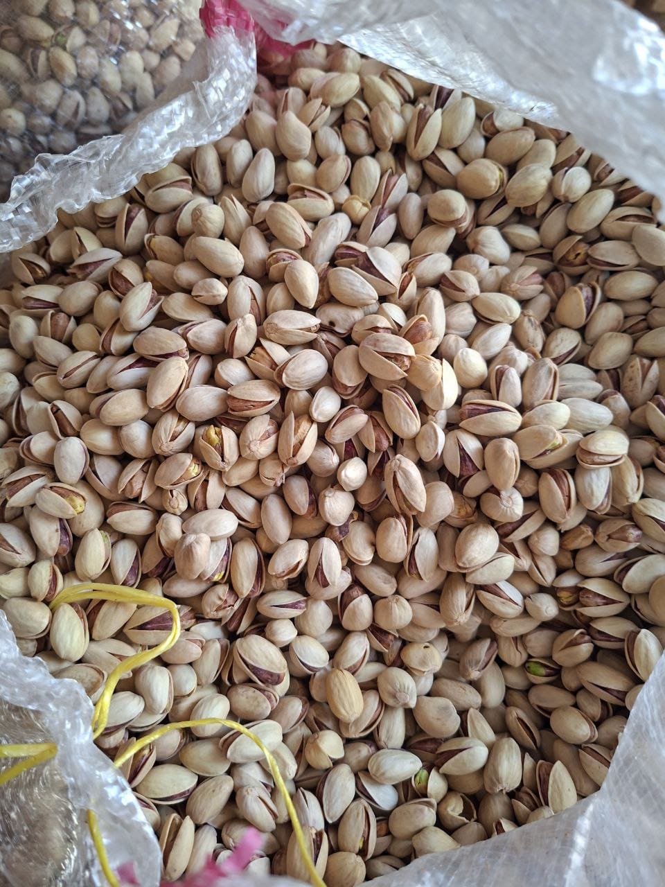 پسته اکبری درجه یک