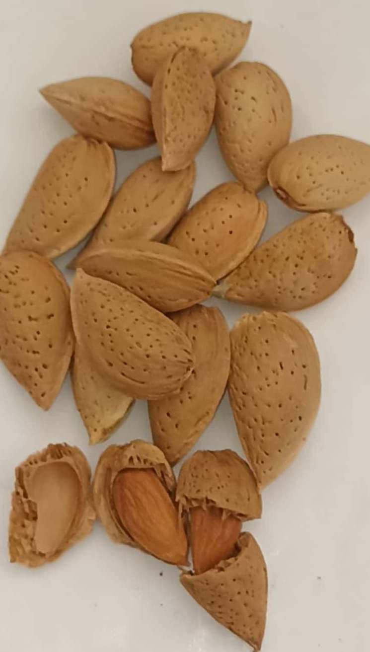خرید بادام چهار محال‌ و بختیاری