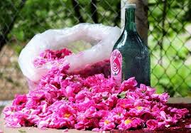 خرید فروش صادراتی گلاب اعلا عمده
