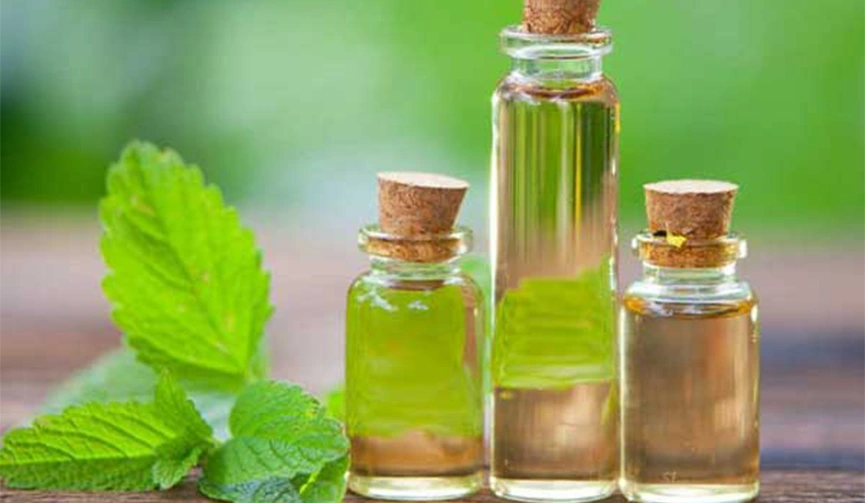 خرید و فروش عرق نعنا با طعم عالی و بی نظیر برای صادرات