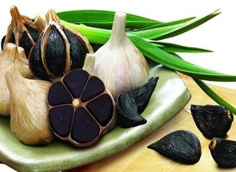 قیمت خرید سیر سیاه امساله همدان +  فروش استثنایی