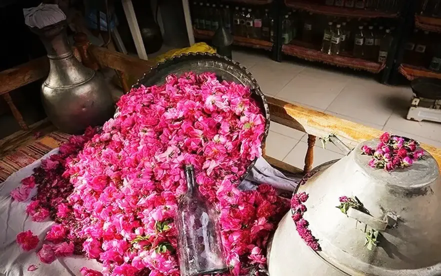 خرید عمده گلاب به صورت مستقیم بدون واسطه از شرکت فولاد گل