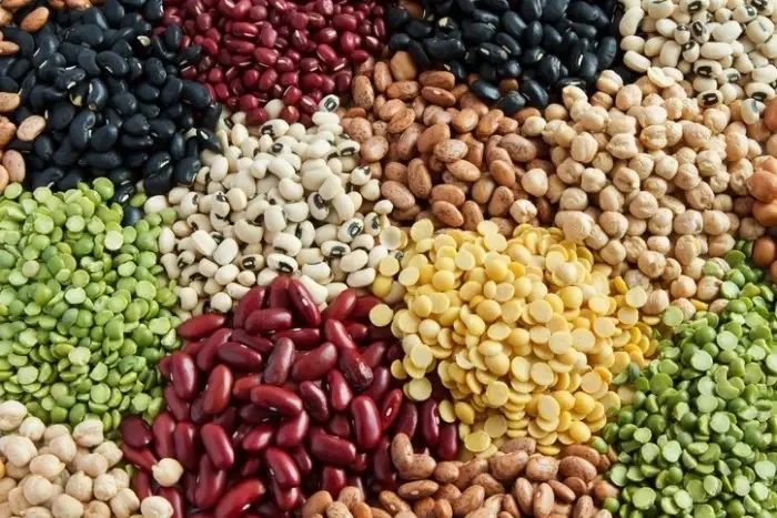 عرضه کنسرو حبوبات