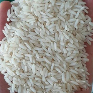 قیمت برنج محلی عنبر بو + قیمت ویژه