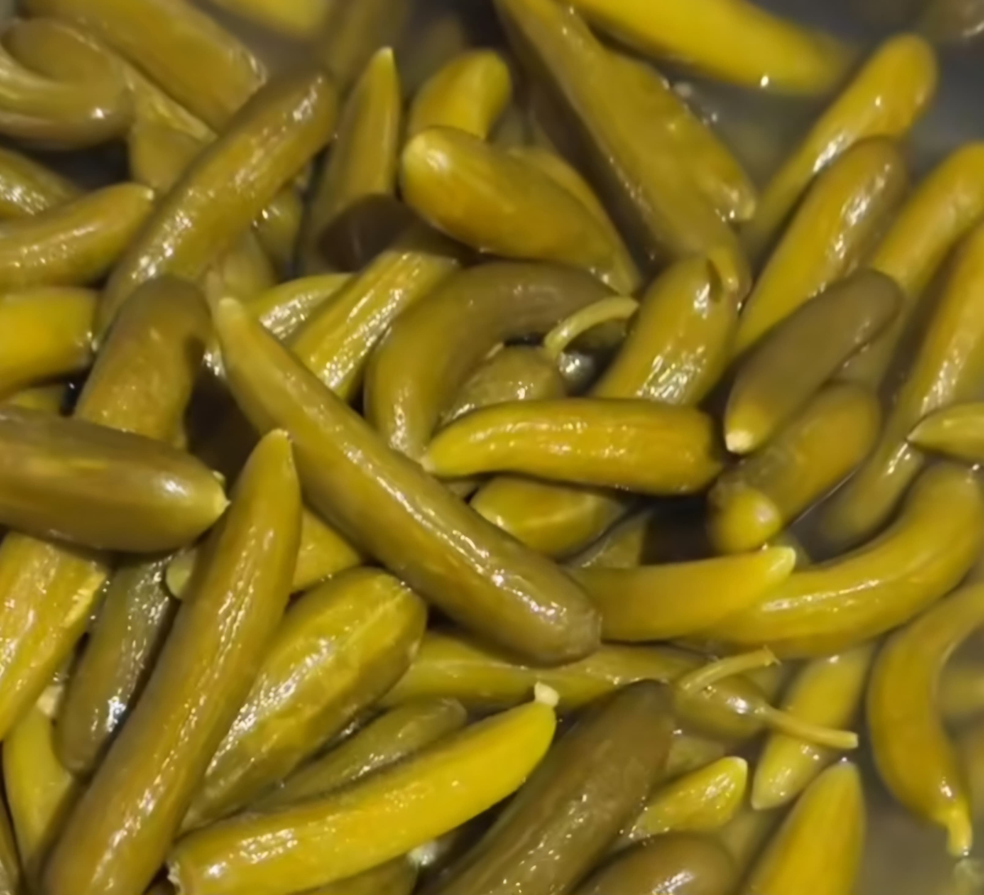 خرید مستقیم خیارشور ویژه ۱۰ کیلویی از تولیدکننده