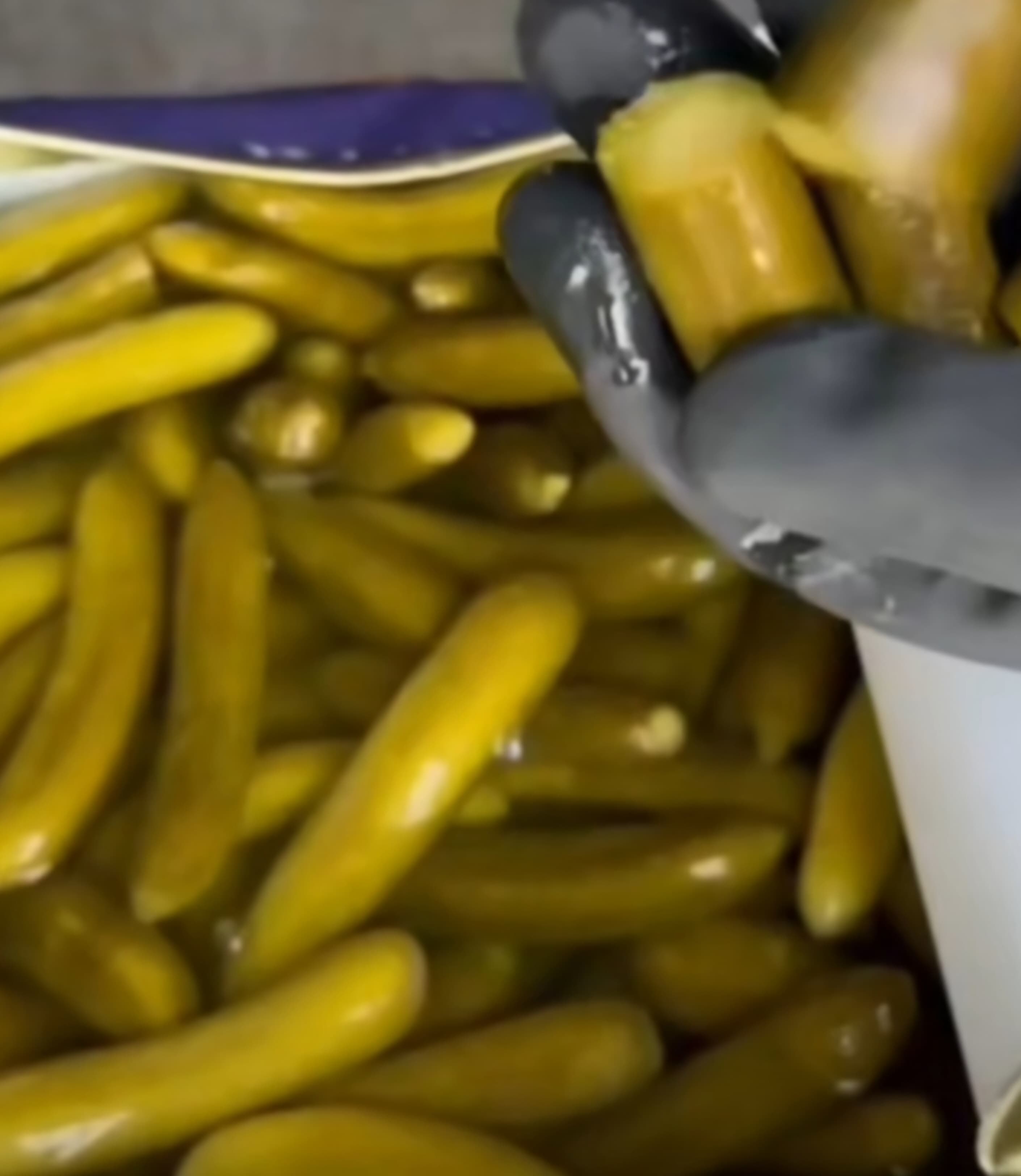 نرخ روز خیارشور صادراتی تند خرید مطمئن