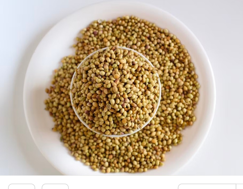 تهیه تخم گشنیز آناهیتا در صنایع غذایی سوداور