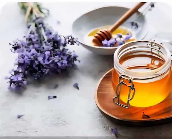 بهترین شرایط خرید عسل گشنیز + قیمت رقابتی