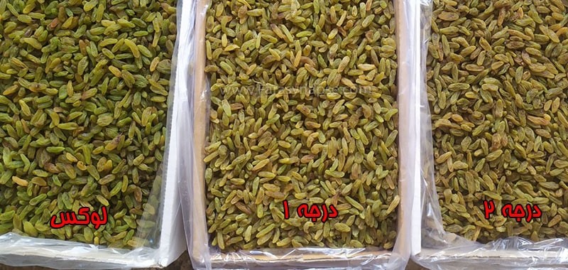 کشمش سبز قلمی + قیمت خرید