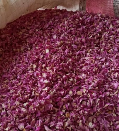 خرید، با خدمات ویژه پر گل محمدی