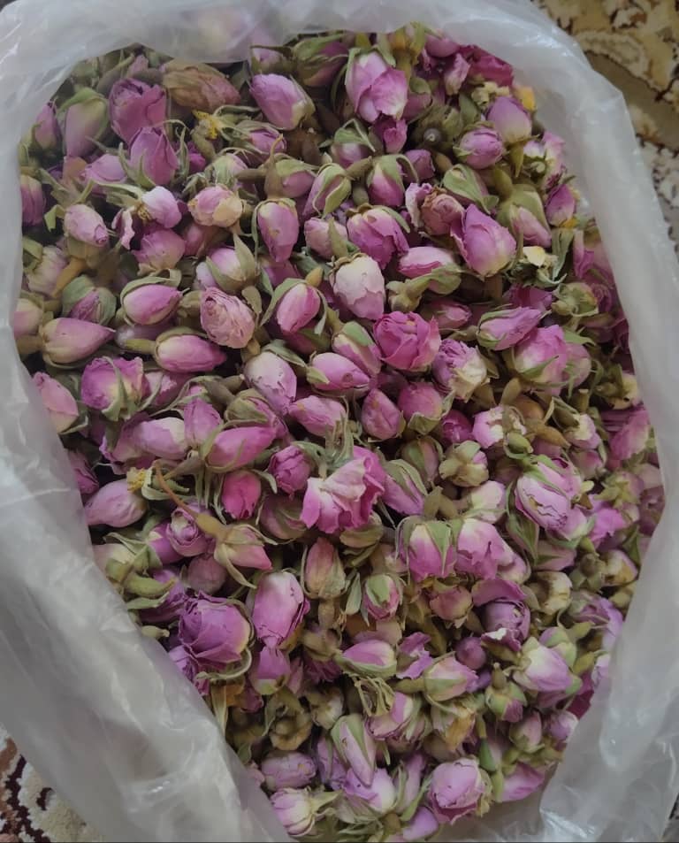 خرید غنچه گل محمدی با بهترین قیمت بازار