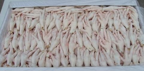 پای مرغ مغذی خرید