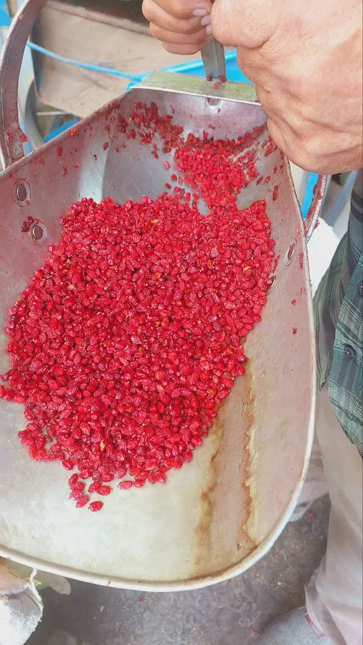 قیمت خرید زرشک پفکی درجه یک + فروش عمده
