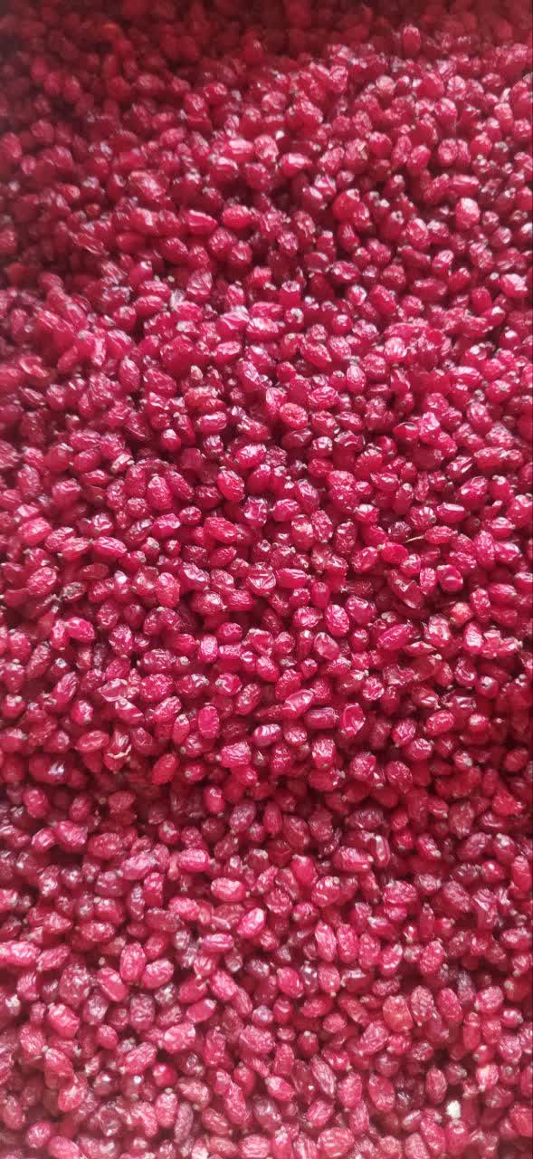 خرید زرشک پفکی قائن + قیمت فروش استثنایی