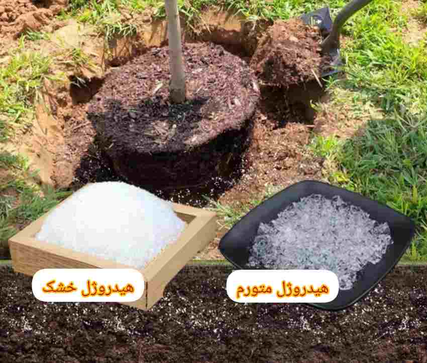 پودر جاذب آب کشاورزی با عملکرد بالا فروش ویژه برای عمده‌ فروشان