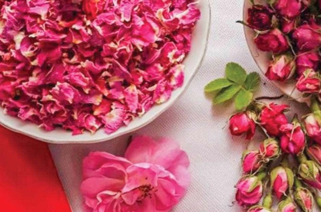 قیمت غنچه گل محمدی خشک با شرایط فوق العاده + کاملا طبیعی و ارگانیک
