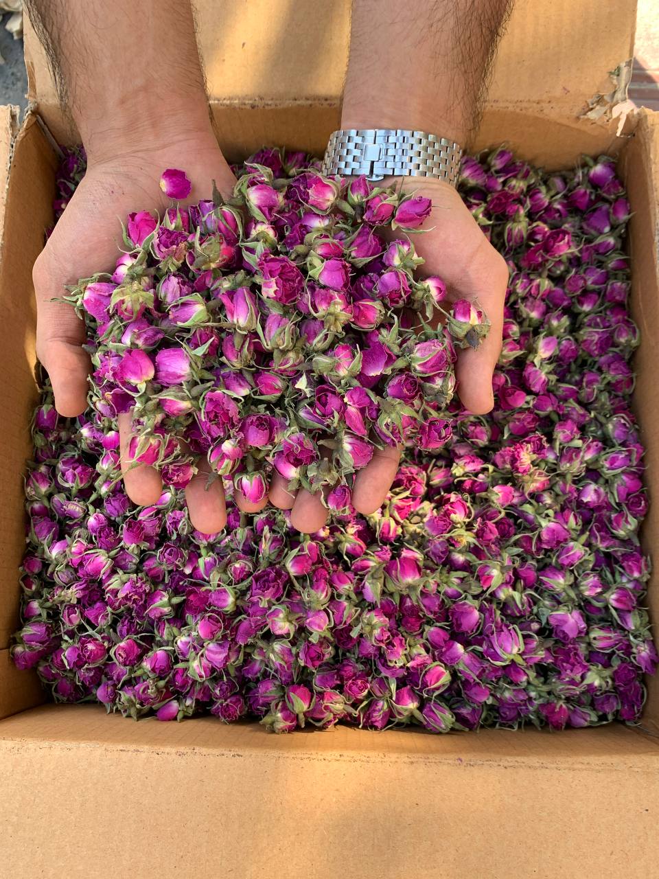 غنچه گل محمدی و فروش عمده به صورت مستقیم از باغدار