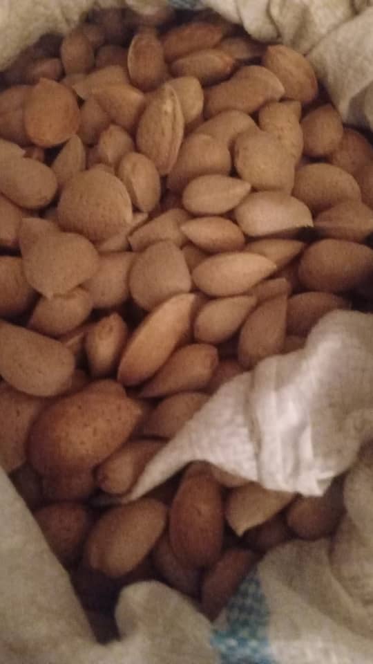 قیمت بادام سنگی پر مغز + خرید