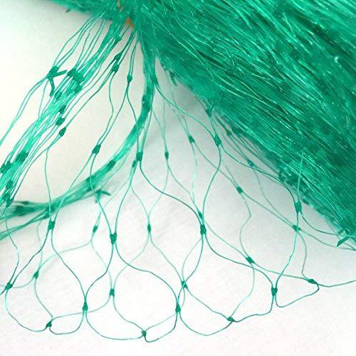 ارسال توری ضد پرنده به استهبان