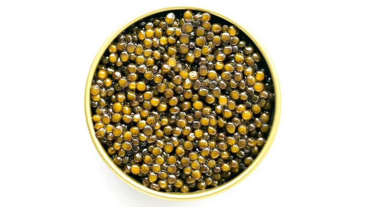 خاویار طلایی خزر + قیمت به صرفه