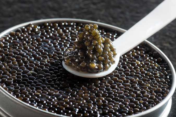 خاویار بلوگا امپریال سلکشن + قیمت استثنایی