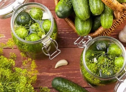 قیمت خرید خیارشور سرکه ای ویژه