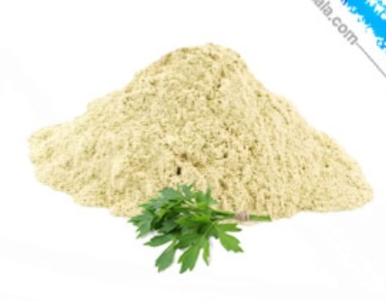 عصاره آنجدان رومی خشک یا پودری