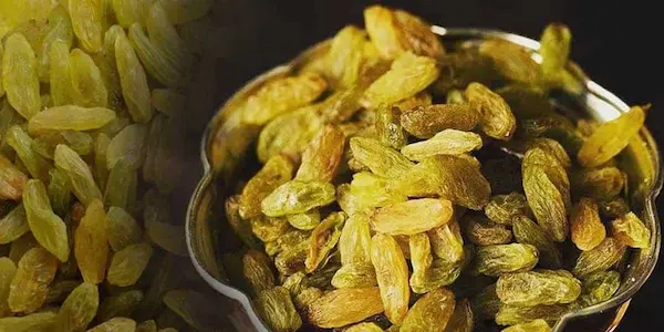 فروش بی‌ واسطه کشمش سبز قلمی درجه یک
