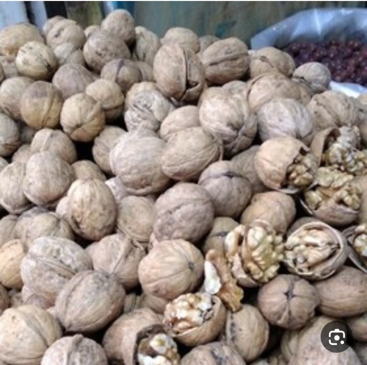 خرید فروش گردوی بلغاری به عنوان تجارت واقعی
