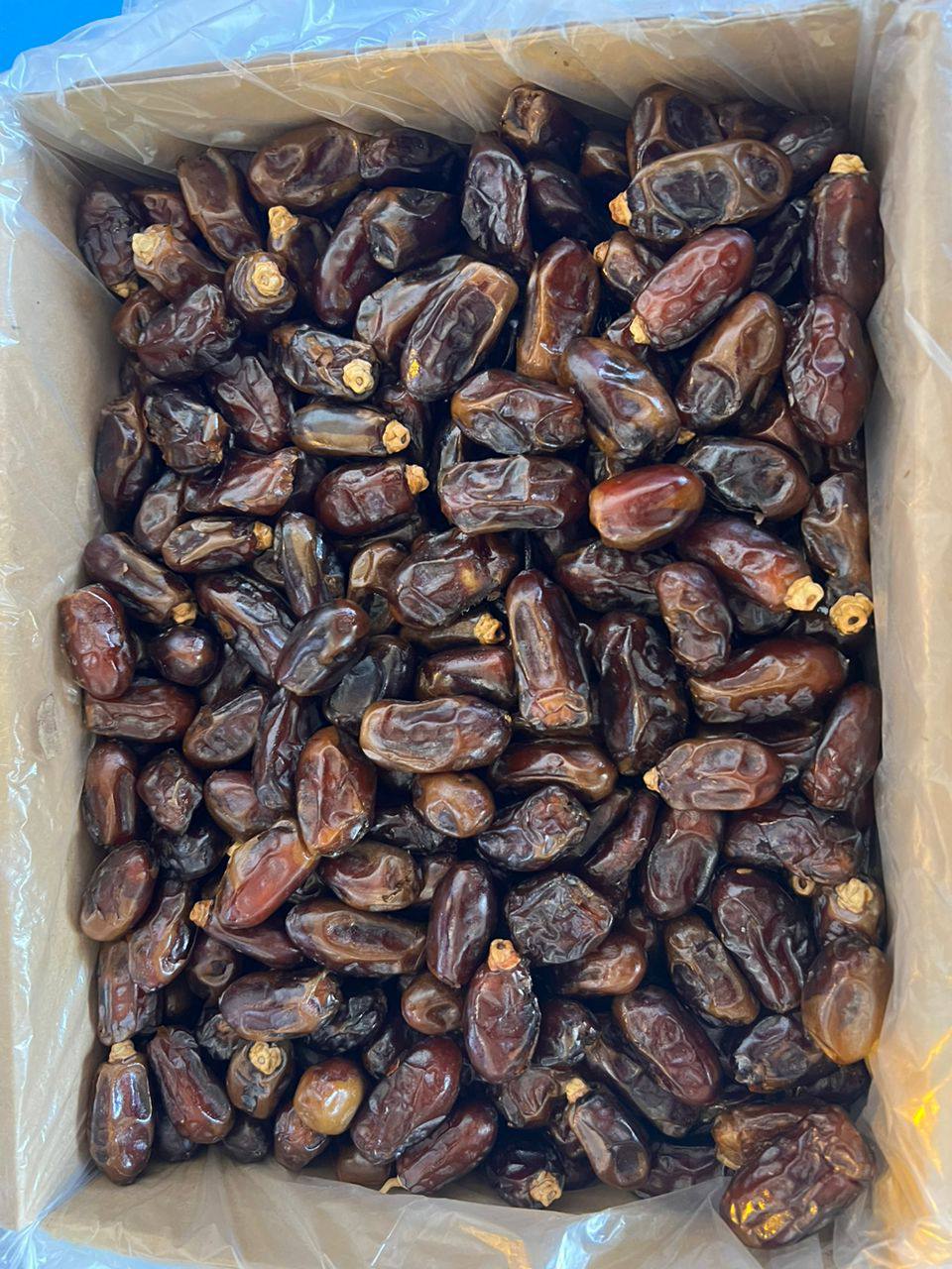 خرید عمده خرمای ربی