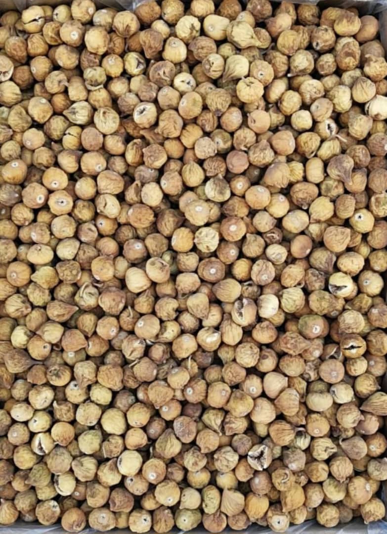 فروش انجیر خشک صادراتی خرداد ۱۴۰۴ + قیمت خرید