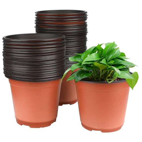 قیمت انواع گلدان ژله‌ ای بسته 500 تایی خرید ارزان و بدون واسطه
