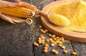 قیمت و نحوه خرید + گلوتن ذرت صادراتی