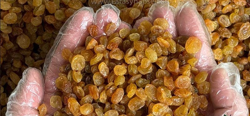کشمش پلویی طلایی