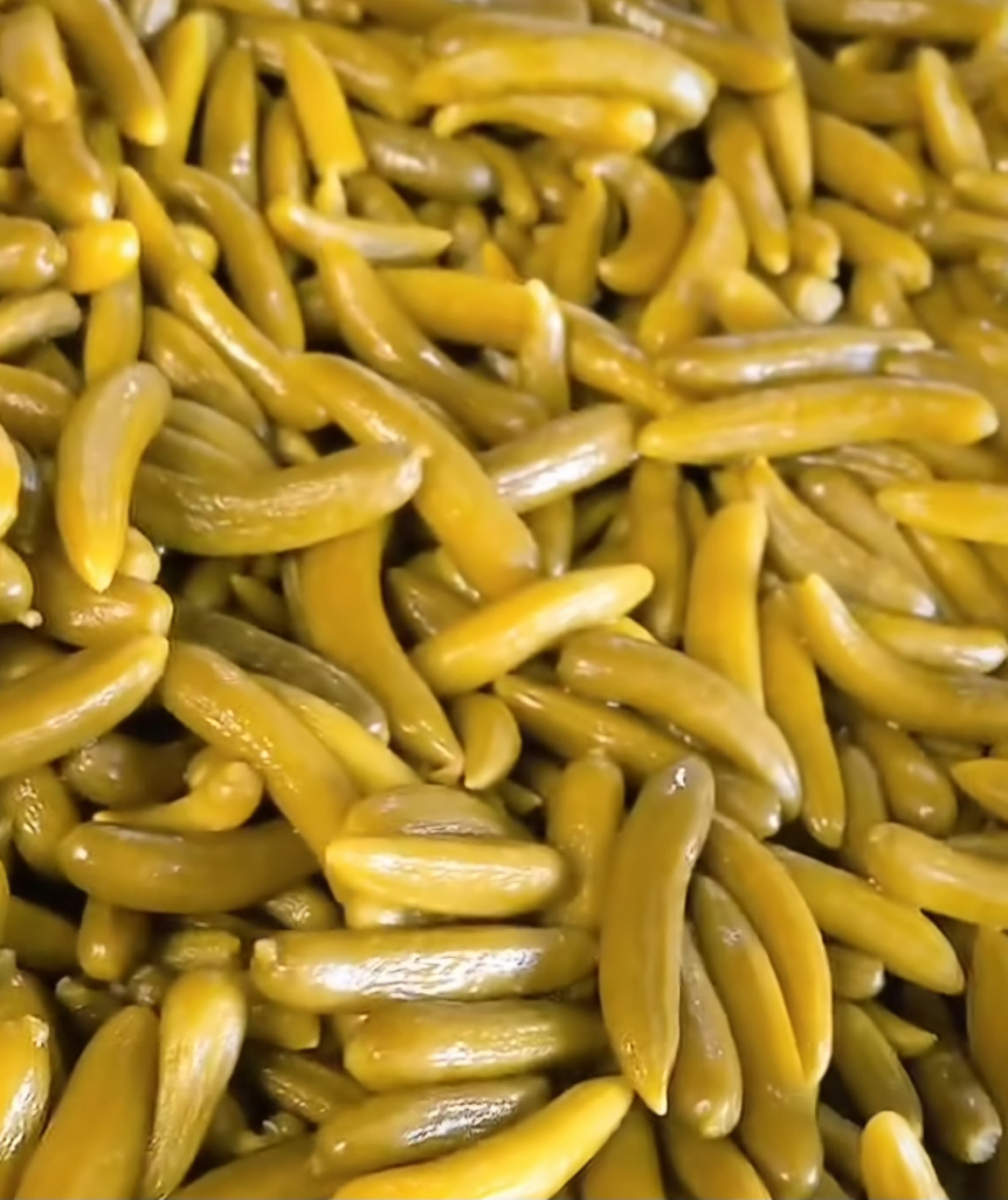 خرید تضمینی خیارشور تند با کیفیت صادراتی