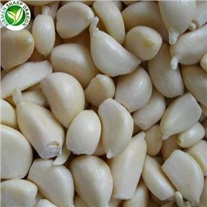 قیمت عمده سیر سفید بلانچ شده