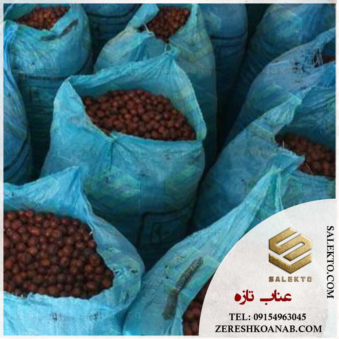 عناب خشک بیرجند با خواص درمانی فراوان + خرید مستقیم از کشاورز با قیمت ویژه