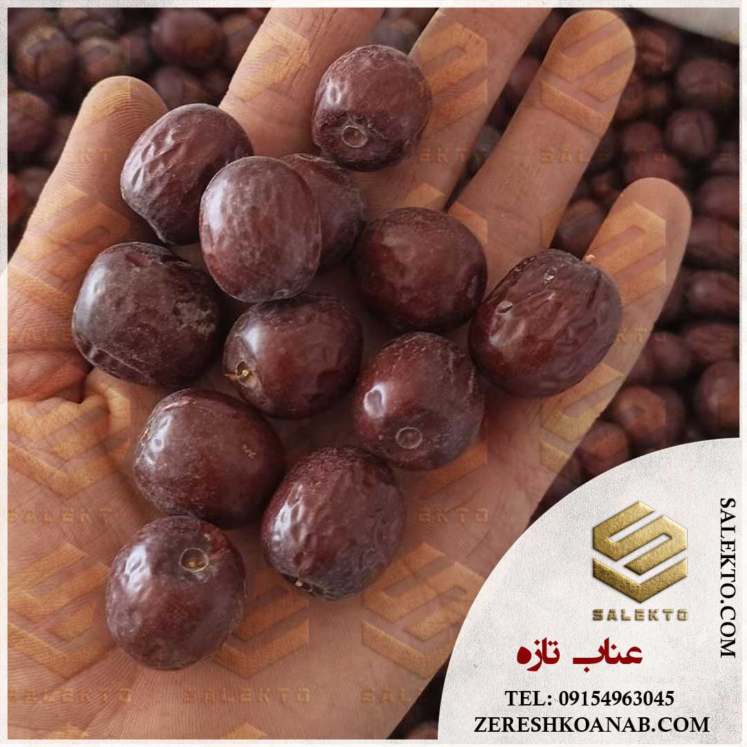 عناب خشک قاینات با طعمی بی‌ نظیر + قیمت مقرون‌ به‌ صرفه و خرید عمده