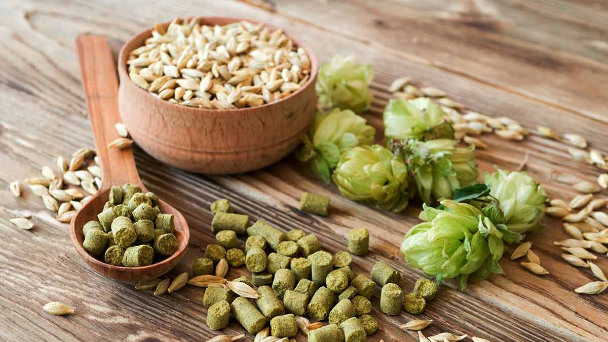 خرید رازک با قیمت شگفت انگیز