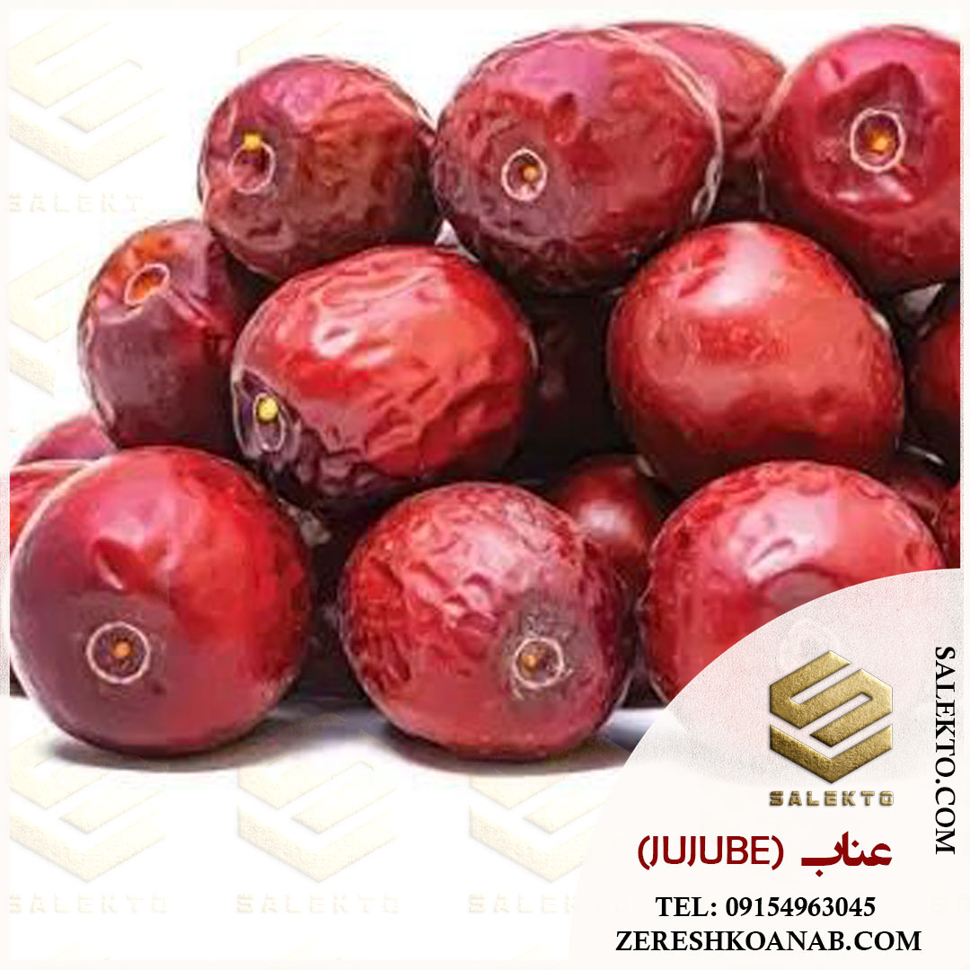 عناب خشک بیرجند با کیفیت ممتاز + خرید ارزان و قیمت ویژه برای خرید عمده