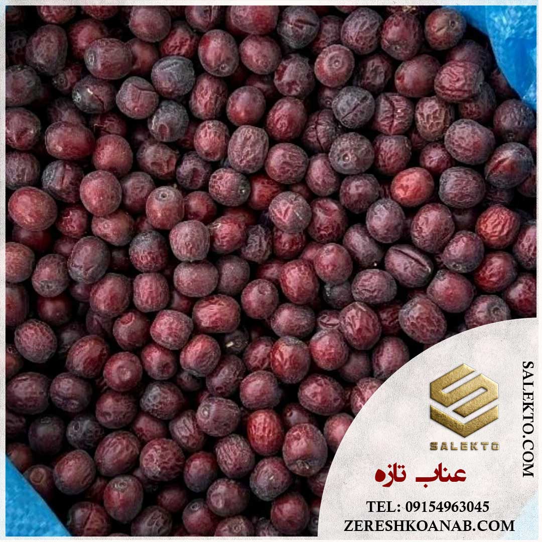 عناب خشک بیرجند با خواص دارویی + خرید عمده با قیمت شگفت‌ انگیز