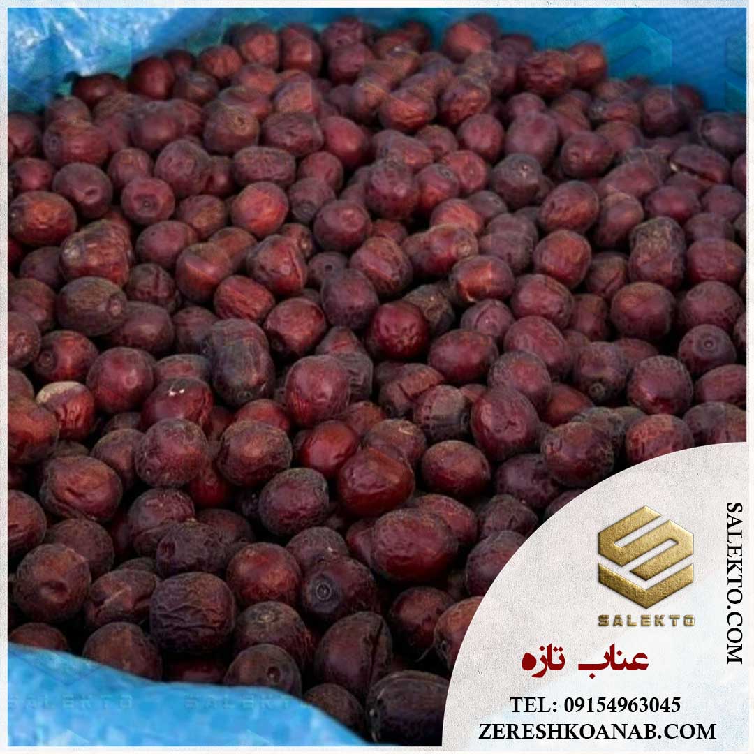 عناب خشک قاین با طعمی شیرین و ترد + خرید مستقیم از کشاورز با قیمت ویژه