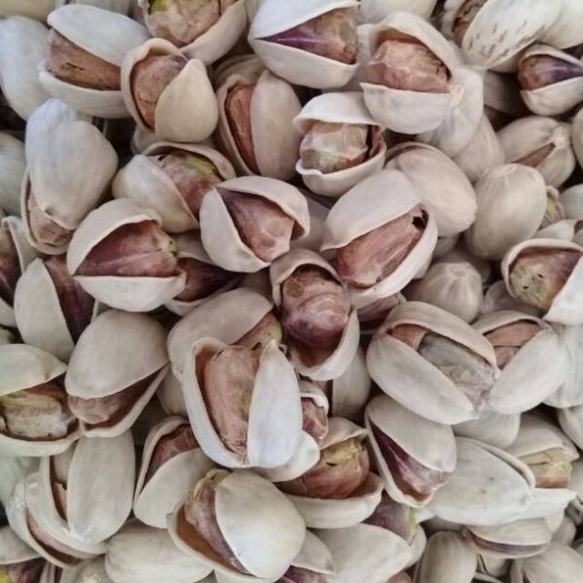 فروش عمده پسته کله قوچی تازه + دانه درشت صادراتی