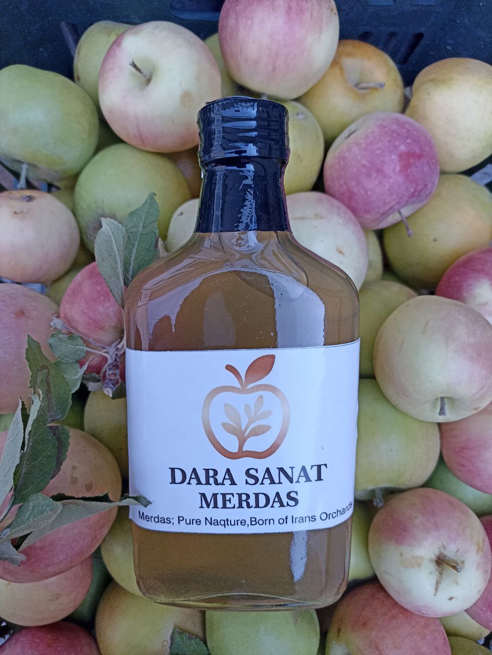خرید سرکه سیب محلی + مرداس اصل