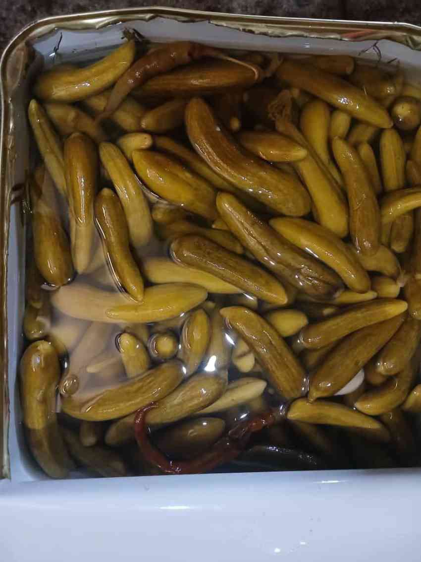 خیارشور فله حلب صادراتی بازار روسیه