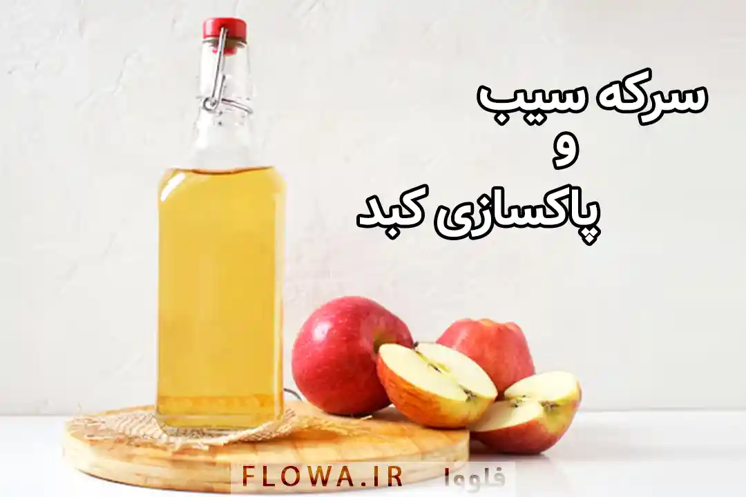 خرید سرکه سیب اصل + تاثیر آن بر کبد